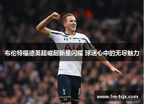 布伦特福德英超崛起新星闪耀 球迷心中的无尽魅力